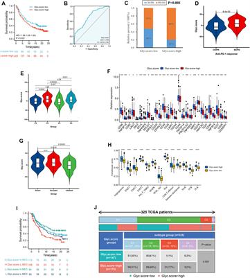 Expression Patterns of Glycosylation Regulators Define Tumor Microenvironment and Immunotherapy in Gastric Cancer